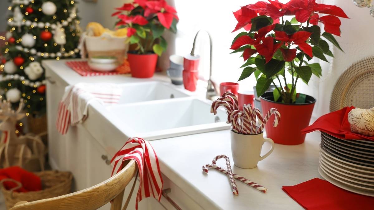 A kitchen with white cabinet doors. A Christmas tree is in the background; the counter is covered with Christmas decorations. Christmas shutdowns can cause delays for kitchen projects and renovations.